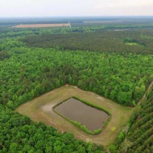 Photo of UNDER CONTRACT!!  117 Acres of Hunting and Timber Land with Cabin and Pond For Sale in Jones County!