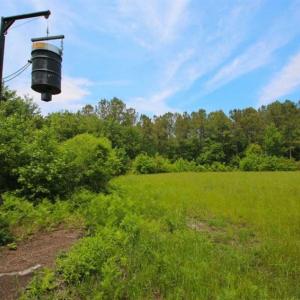 Photo of UNDER CONTRACT!!  117 Acres of Hunting and Timber Land with Cabin and Pond For Sale in Jones County!