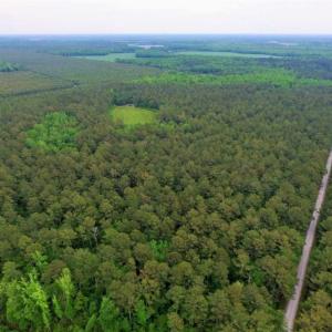 Photo of UNDER CONTRACT!!  117 Acres of Hunting and Timber Land with Cabin and Pond For Sale in Jones County!