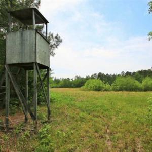 Photo of UNDER CONTRACT!!  117 Acres of Hunting and Timber Land with Cabin and Pond For Sale in Jones County!