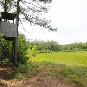 Photo of UNDER CONTRACT!!  117 Acres of Hunting and Timber Land with Cabin and Pond For Sale in Jones County!