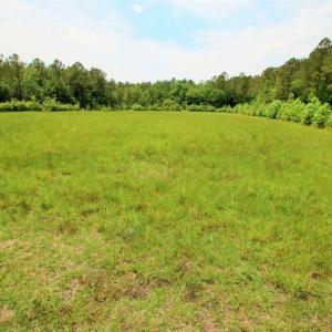 Photo of UNDER CONTRACT!!  117 Acres of Hunting and Timber Land with Cabin and Pond For Sale in Jones County!