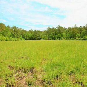 Photo of UNDER CONTRACT!!  117 Acres of Hunting and Timber Land with Cabin and Pond For Sale in Jones County!