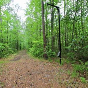 Photo of UNDER CONTRACT!!  117 Acres of Hunting and Timber Land with Cabin and Pond For Sale in Jones County!