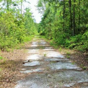 Photo of UNDER CONTRACT!!  117 Acres of Hunting and Timber Land with Cabin and Pond For Sale in Jones County!