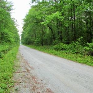 Photo of UNDER CONTRACT!!  117 Acres of Hunting and Timber Land with Cabin and Pond For Sale in Jones County!