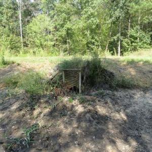 Photo of SOLD!!  174 Acres of Hunting Land For Sale in Dillon County SC!