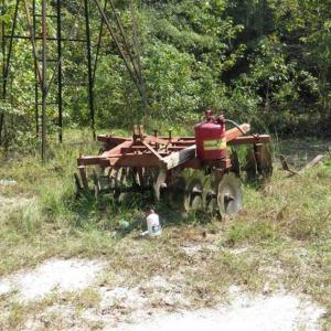 Photo of SOLD!!  174 Acres of Hunting Land For Sale in Dillon County SC!