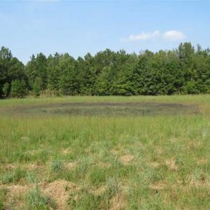 Photo of SOLD!!  174 Acres of Hunting Land For Sale in Dillon County SC!
