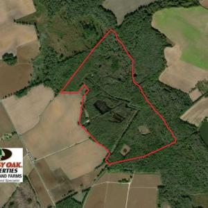 Photo of SOLD!!  174 Acres of Hunting Land For Sale in Dillon County SC!
