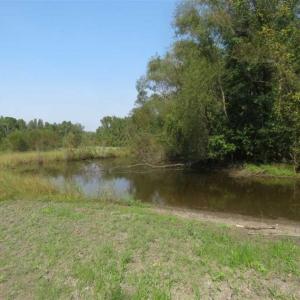 Photo of SOLD!!  174 Acres of Hunting Land For Sale in Dillon County SC!