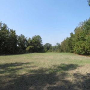 Photo of SOLD!!  174 Acres of Hunting Land For Sale in Dillon County SC!