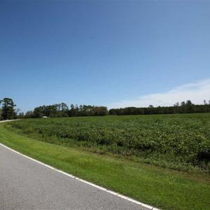 Photo of SOLD!!  52 Acres of Farm and Hunting Land For Sale in Tyrrell County NC!