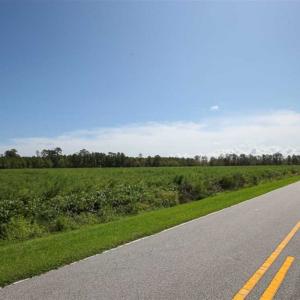 Photo of SOLD!!  52 Acres of Farm and Hunting Land For Sale in Tyrrell County NC!