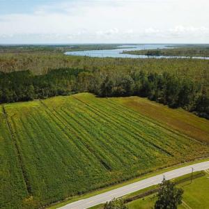 Photo of SOLD!!  52 Acres of Farm and Hunting Land For Sale in Tyrrell County NC!