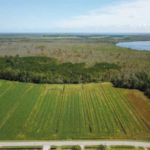 Photo of SOLD!!  52 Acres of Farm and Hunting Land For Sale in Tyrrell County NC!