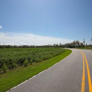 Photo of SOLD!!  52 Acres of Farm and Hunting Land For Sale in Tyrrell County NC!