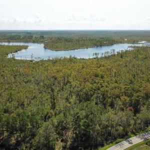 Photo of SOLD!!  52 Acres of Farm and Hunting Land For Sale in Tyrrell County NC!