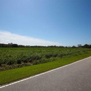 Photo of SOLD!!  52 Acres of Farm and Hunting Land For Sale in Tyrrell County NC!