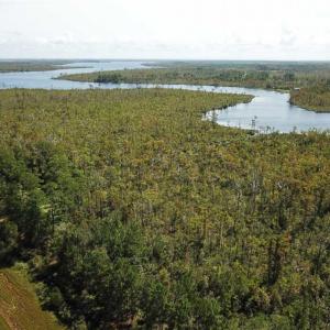 Photo of SOLD!!  52 Acres of Farm and Hunting Land For Sale in Tyrrell County NC!