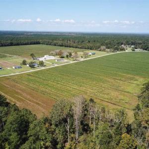 Photo of SOLD!!  52 Acres of Farm and Hunting Land For Sale in Tyrrell County NC!
