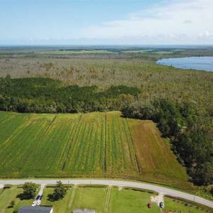 Photo of SOLD!!  52 Acres of Farm and Hunting Land For Sale in Tyrrell County NC!