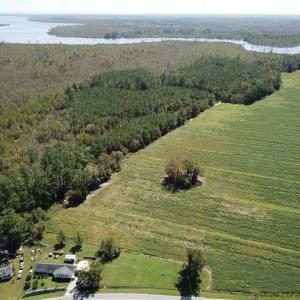 Photo of SOLD!!  52 Acres of Farm and Hunting Land For Sale in Tyrrell County NC!