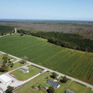 Photo of SOLD!!  52 Acres of Farm and Hunting Land For Sale in Tyrrell County NC!