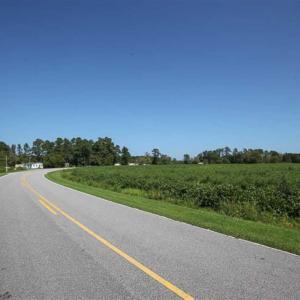 Photo of SOLD!!  52 Acres of Farm and Hunting Land For Sale in Tyrrell County NC!
