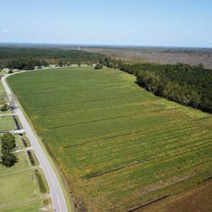 Photo of SOLD!!  52 Acres of Farm and Hunting Land For Sale in Tyrrell County NC!