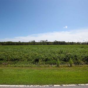 Photo of SOLD!!  52 Acres of Farm and Hunting Land For Sale in Tyrrell County NC!