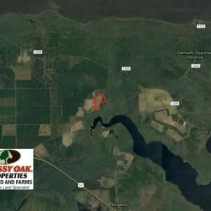 Photo of SOLD!!  52 Acres of Farm and Hunting Land For Sale in Tyrrell County NC!