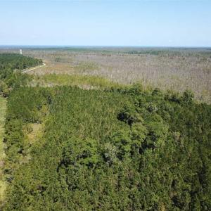 Photo of SOLD!!  52 Acres of Farm and Hunting Land For Sale in Tyrrell County NC!