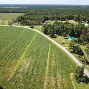 Photo of SOLD!!  52 Acres of Farm and Hunting Land For Sale in Tyrrell County NC!
