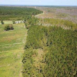 Photo of SOLD!!  52 Acres of Farm and Hunting Land For Sale in Tyrrell County NC!