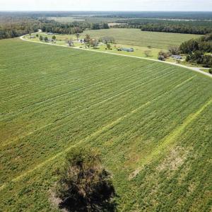 Photo of SOLD!!  52 Acres of Farm and Hunting Land For Sale in Tyrrell County NC!