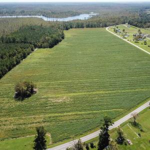 Photo of SOLD!!  52 Acres of Farm and Hunting Land For Sale in Tyrrell County NC!