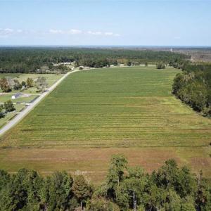 Photo of SOLD!!  52 Acres of Farm and Hunting Land For Sale in Tyrrell County NC!