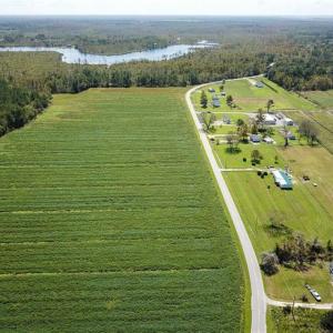 Photo of SOLD!!  52 Acres of Farm and Hunting Land For Sale in Tyrrell County NC!