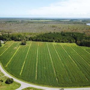 Photo of SOLD!!  52 Acres of Farm and Hunting Land For Sale in Tyrrell County NC!