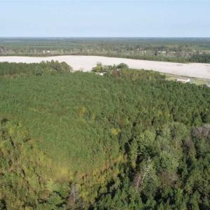 Photo of SOLD!! 13.7 Acres of Hunting and Timber Land For Sale in Gates County NC!