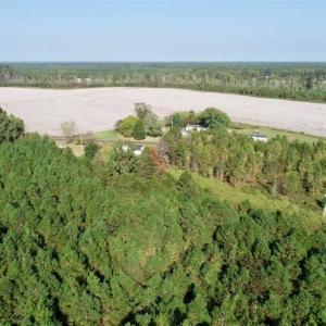 Photo of SOLD!! 13.7 Acres of Hunting and Timber Land For Sale in Gates County NC!
