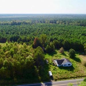 Photo of SOLD!! 13.7 Acres of Hunting and Timber Land For Sale in Gates County NC!