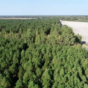 Photo of SOLD!! 13.7 Acres of Hunting and Timber Land For Sale in Gates County NC!
