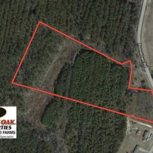 Photo of SOLD!! 13.7 Acres of Hunting and Timber Land For Sale in Gates County NC!