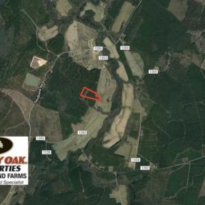 Photo of SOLD!! 13.7 Acres of Hunting and Timber Land For Sale in Gates County NC!
