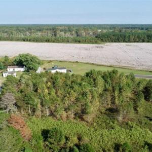 Photo of SOLD!! 13.7 Acres of Hunting and Timber Land For Sale in Gates County NC!