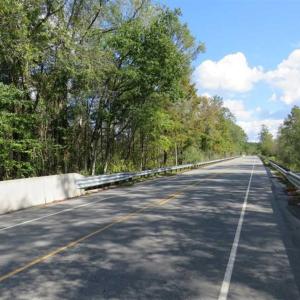 Photo of UNDER CONTRACT!!  44 Acres of Hunting and Timber Land For Sale in Columbus County NC!