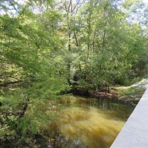 Photo of UNDER CONTRACT!!  44 Acres of Hunting and Timber Land For Sale in Columbus County NC!