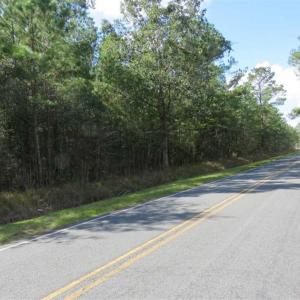 Photo of UNDER CONTRACT!!  44 Acres of Hunting and Timber Land For Sale in Columbus County NC!